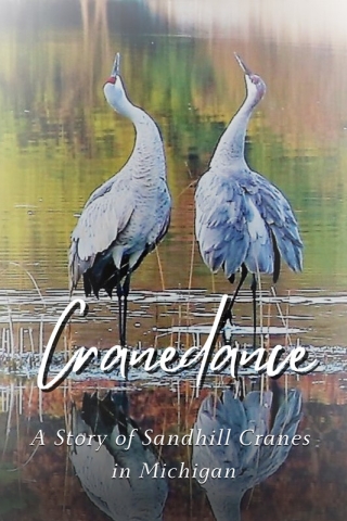 Crane Dance by Mindy Denninger