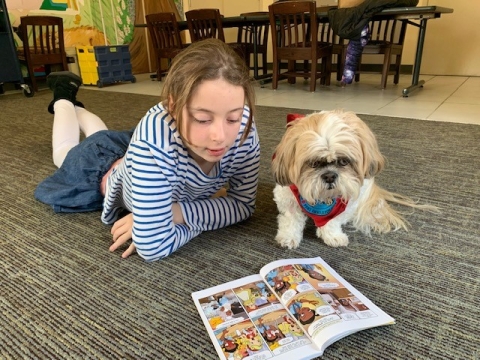 Girl lying on her stomach on the floor reading with a little fluffy dog
