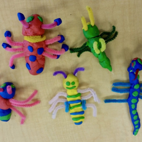 Build a Bug Challenge