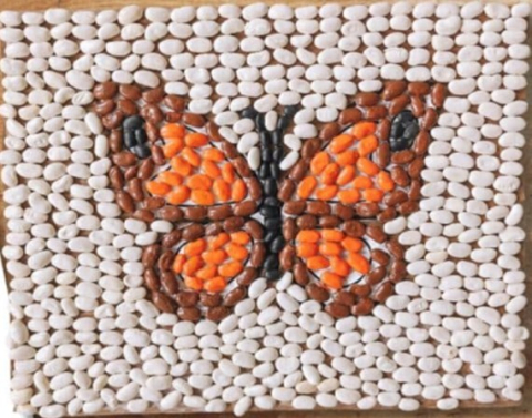 Orange butterfly bean mosaic
